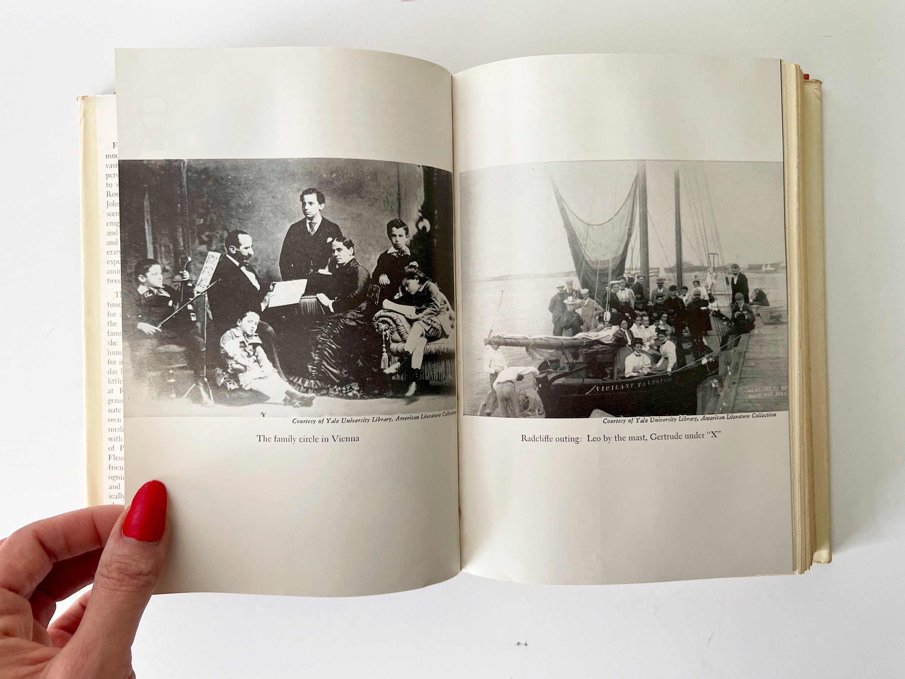 The Third Rose: Gertrude Stein, 1959 First Edition Hardcover