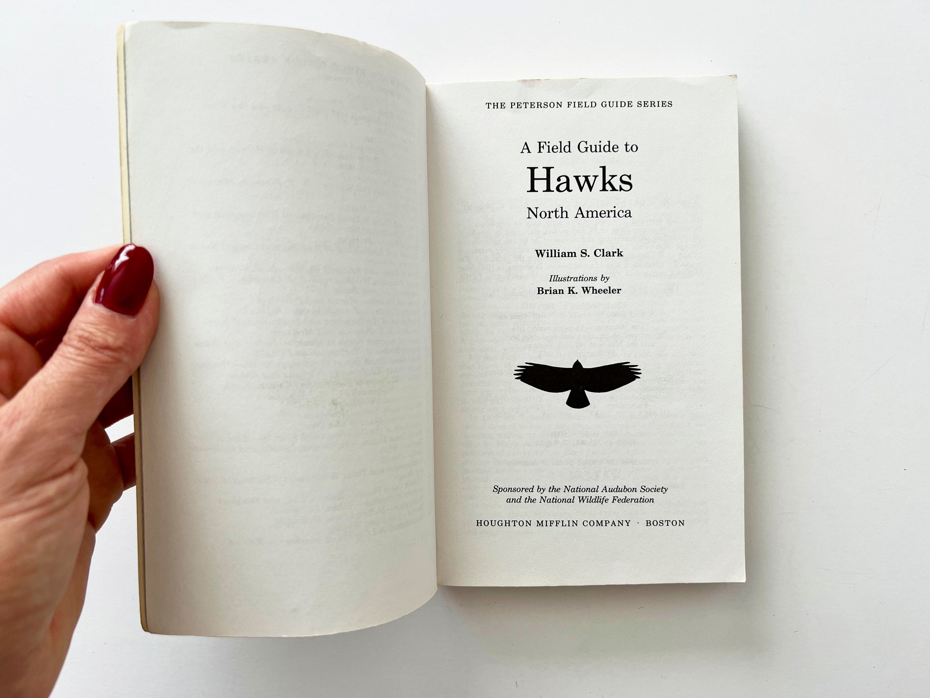 1987 Peterson's Field Guide Hawks, vintage field guide book