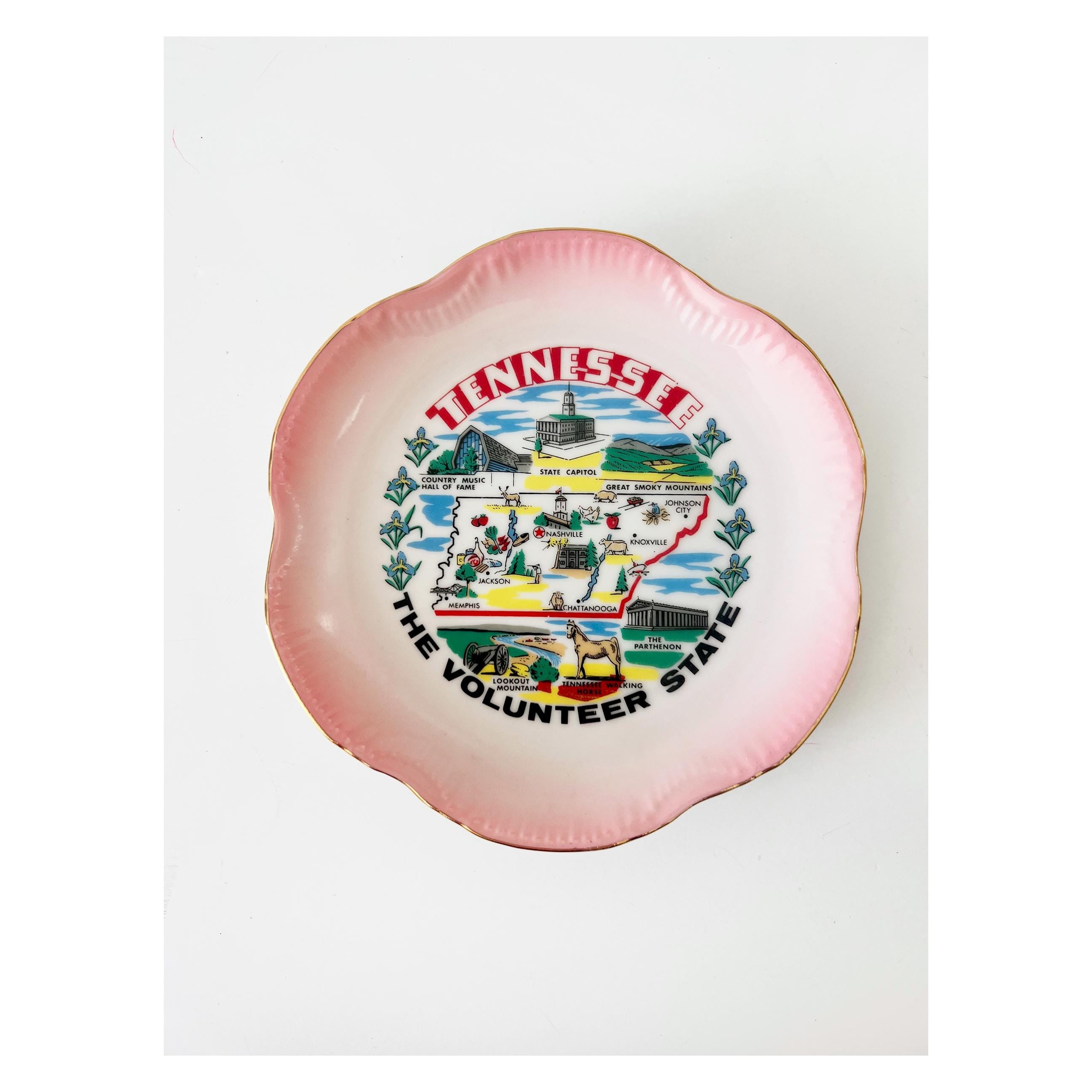 Tennessee souvenir plate