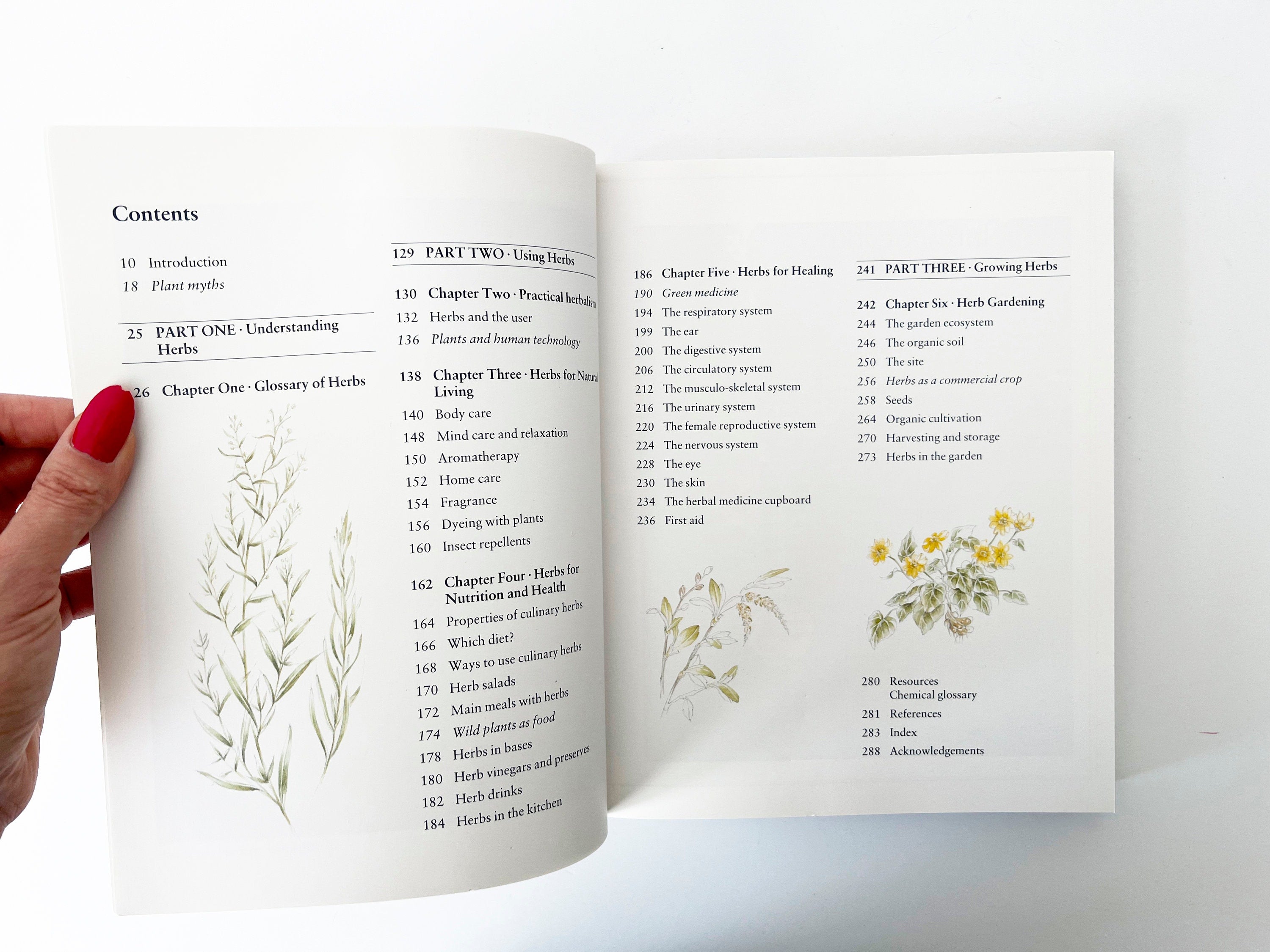 1988 The New Age Herbalist by Richard Mabey, Vintage paperback guide book