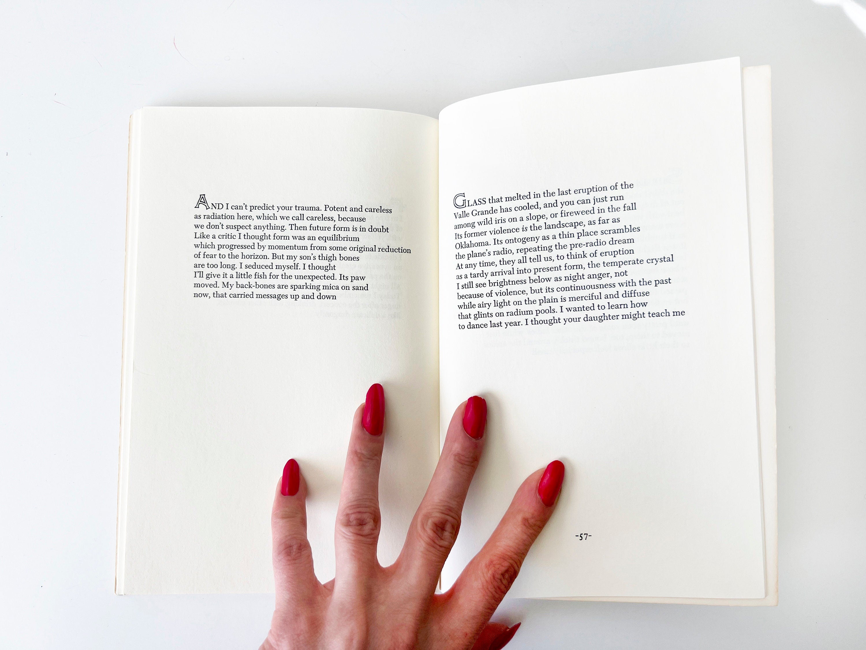 1983 the heat bird by mei-mei berssenbrugge / poetry book