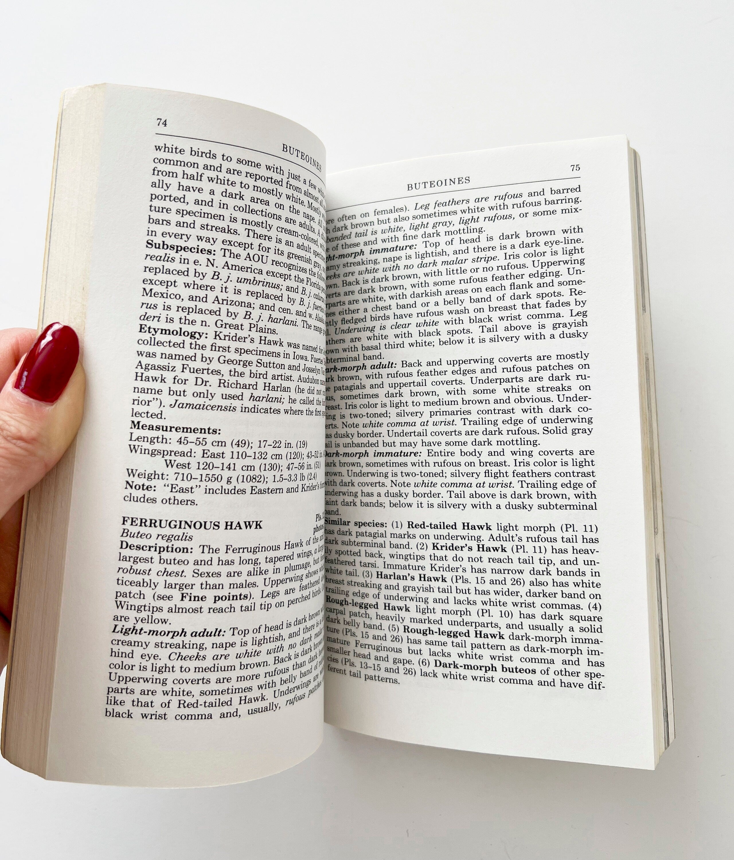 1987 Peterson's Field Guide Hawks, vintage field guide book