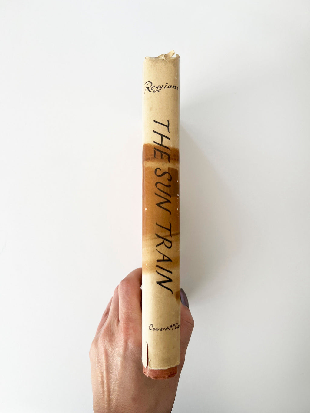 The Sun Train: 1966 Vintage Hardcover Novel, Italian Fiction