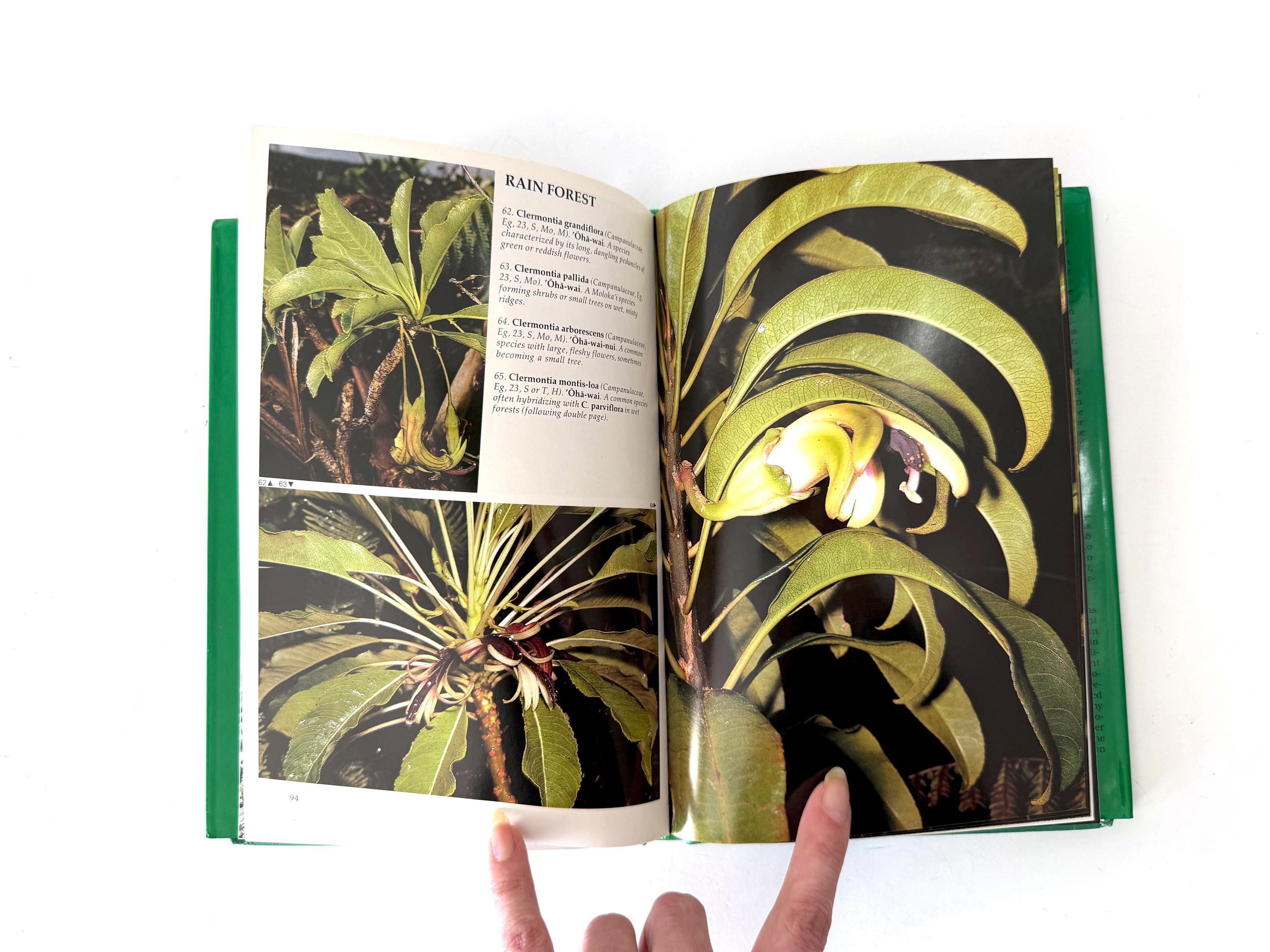 1987 Plants and Flowers of Hawai'i