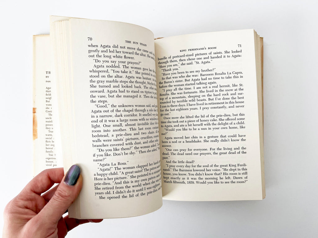 The Sun Train: 1966 Vintage Hardcover Novel, Italian Fiction