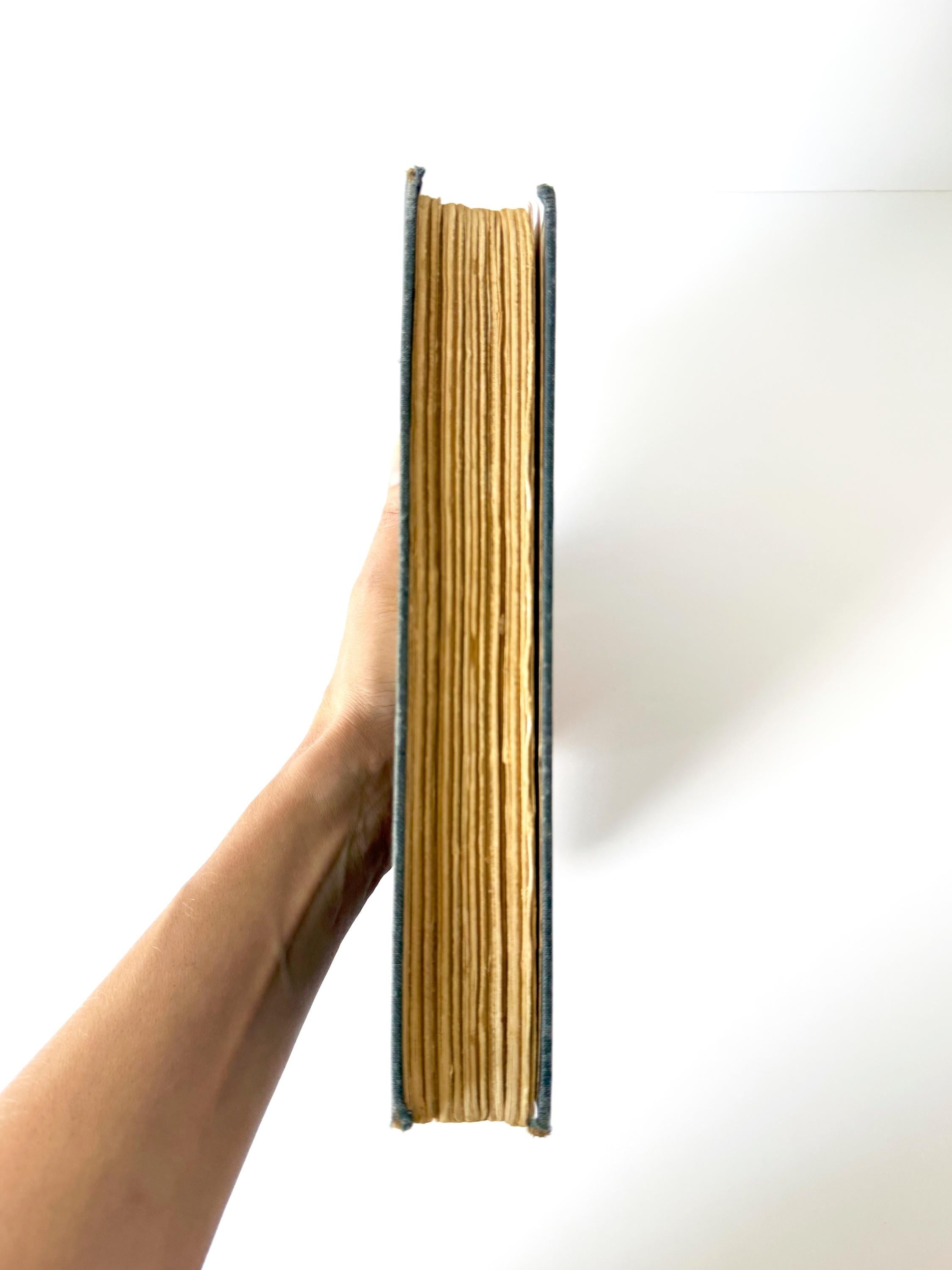 1925 A Little Princess by Frances Hodgson Burnett, Ethel Franklin Betts (Illustrator)