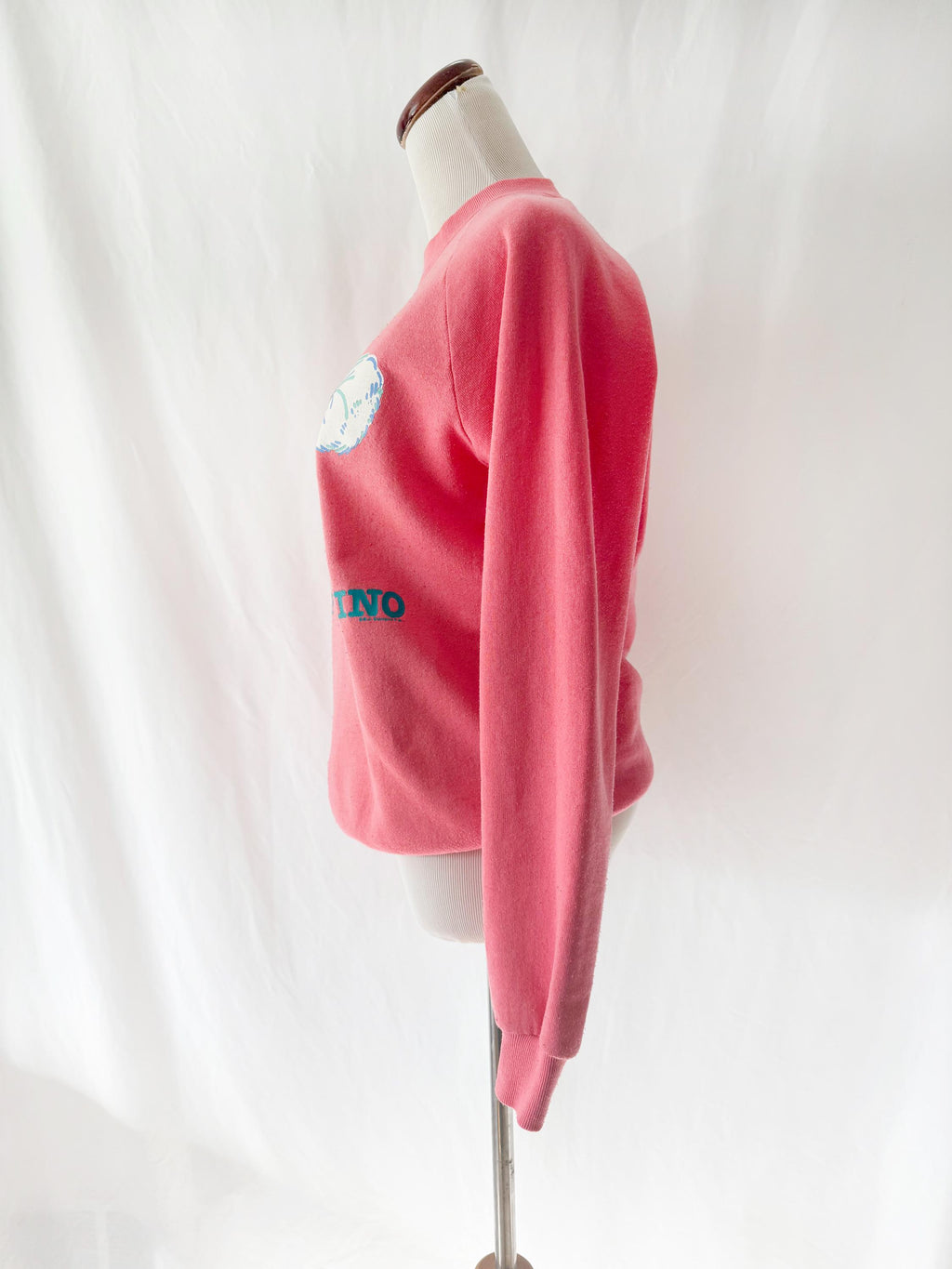 Vintage 80s Cheerleading Dinosaur Sweatshirt - Rah Rah Dino