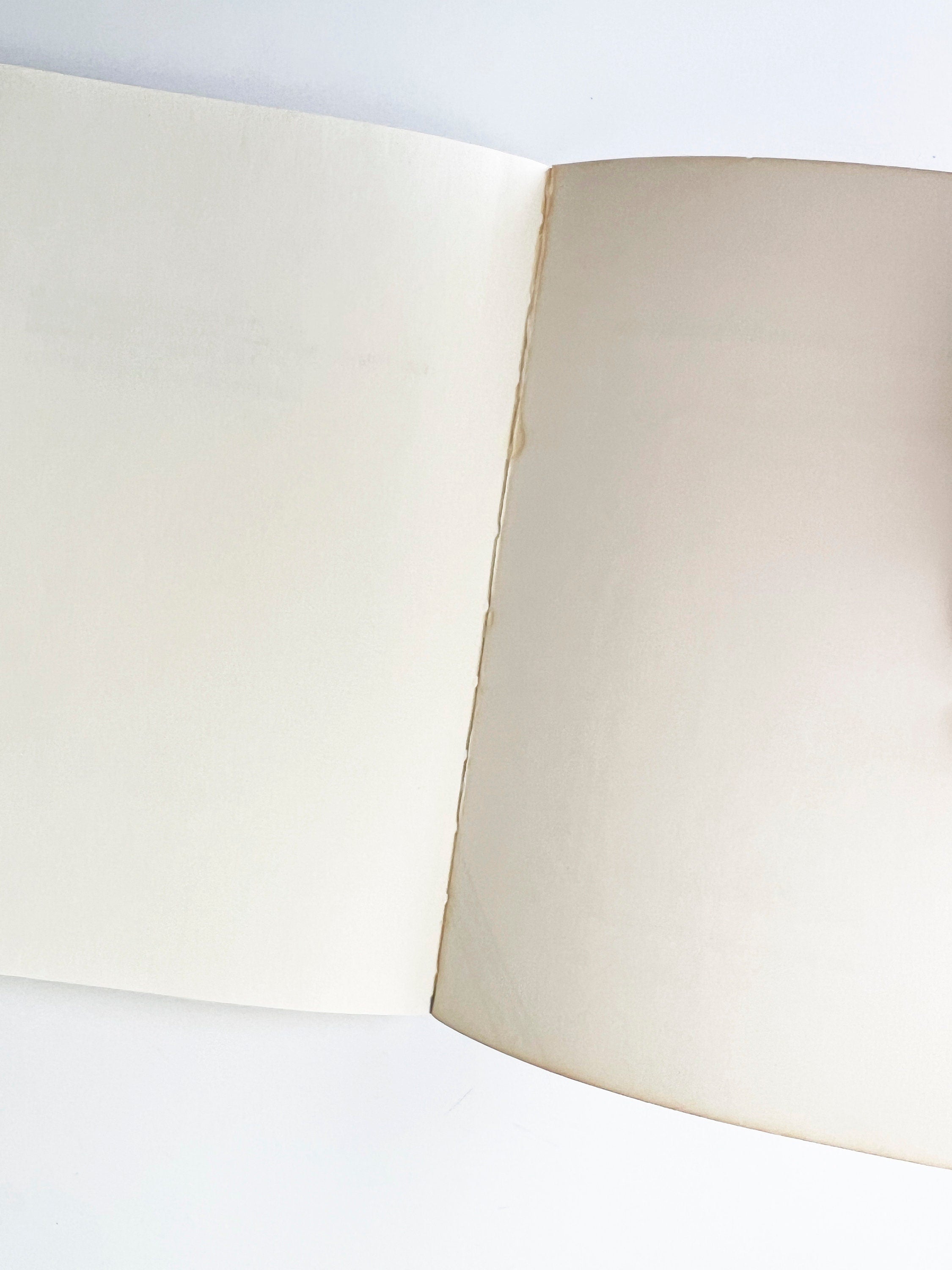 1983 the heat bird by mei-mei berssenbrugge / poetry book