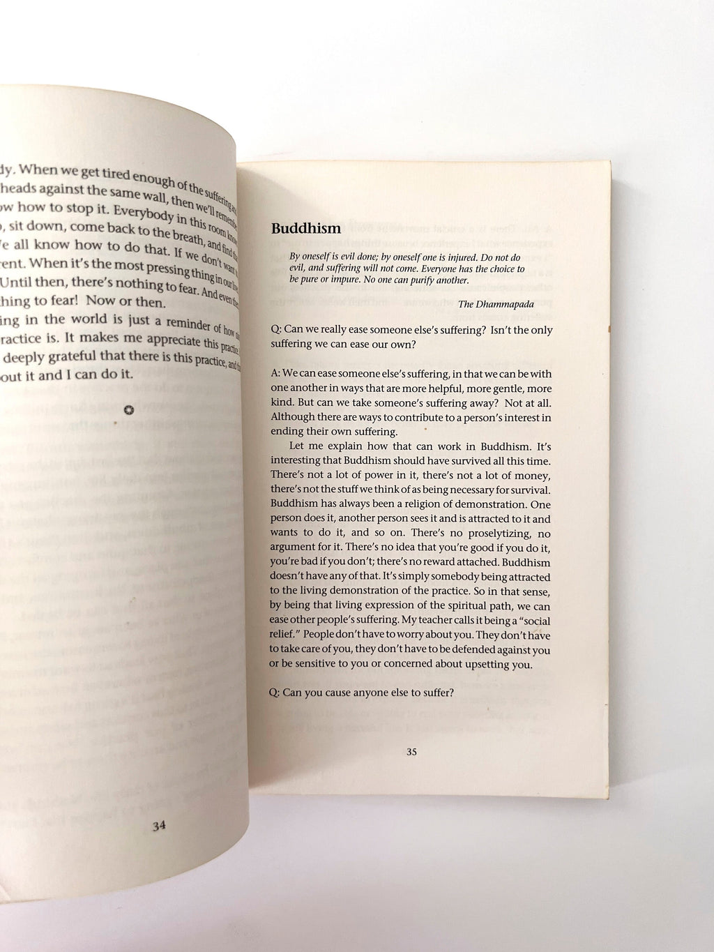 1991 Turning Towards Happiness: Conversations With a Zen Teacher and Her Students, vintage paperback book