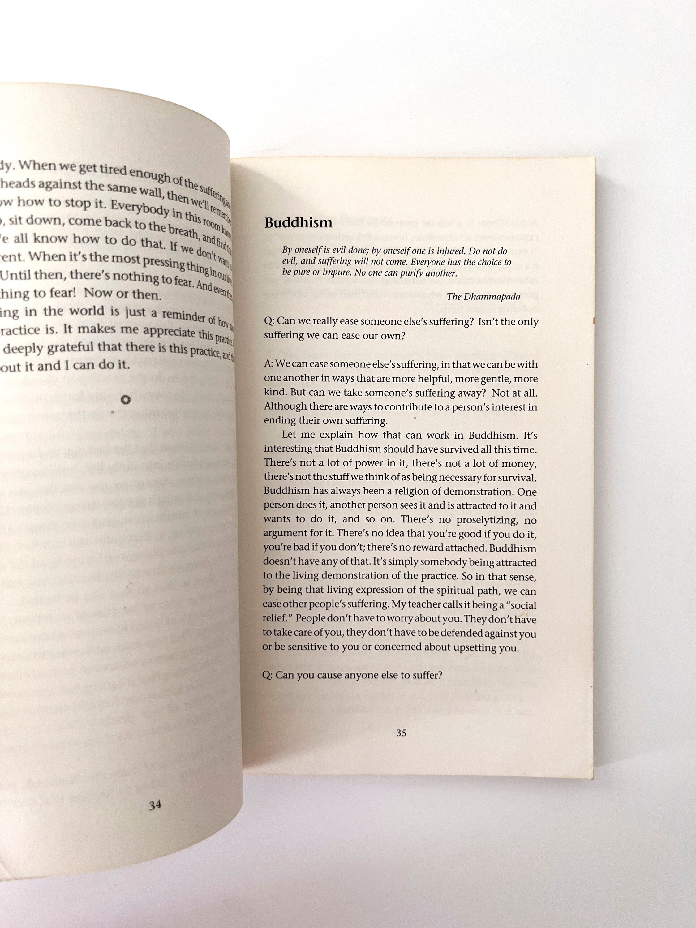 1991 Turning Towards Happiness: Conversations With a Zen Teacher and Her Students, vintage paperback book