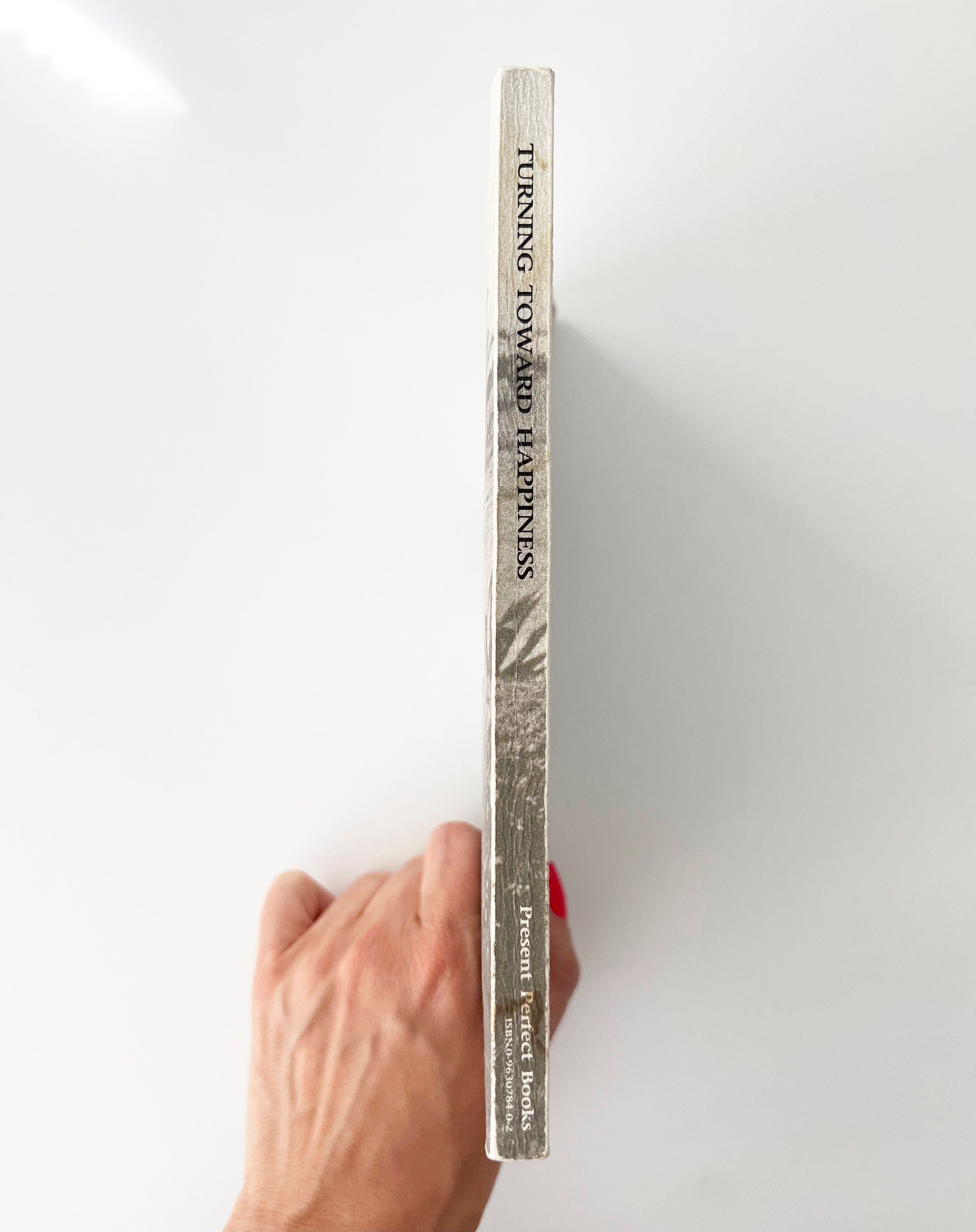 1991 Turning Towards Happiness: Conversations With a Zen Teacher and Her Students, vintage paperback book