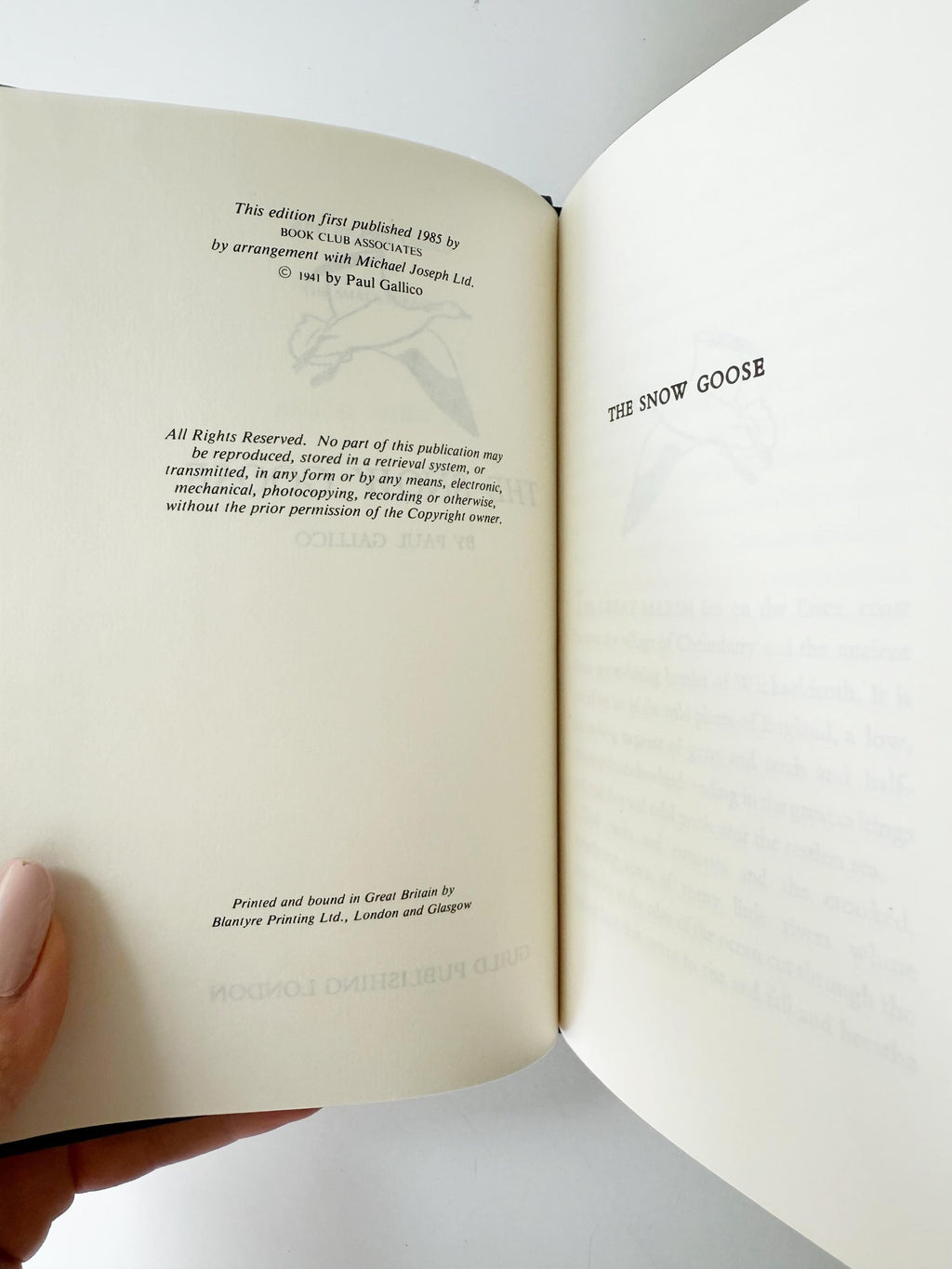 The Snow Goose by Paul Gallico, 1985 vintage hardcover book, novella