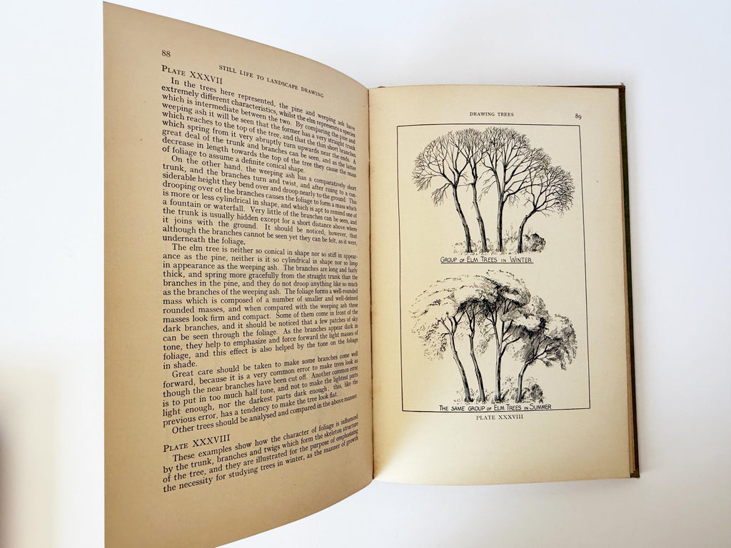 1937 Still Life to Landscape Drawing by Allan Smith