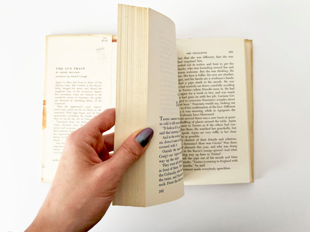 The Sun Train: 1966 Vintage Hardcover Novel, Italian Fiction