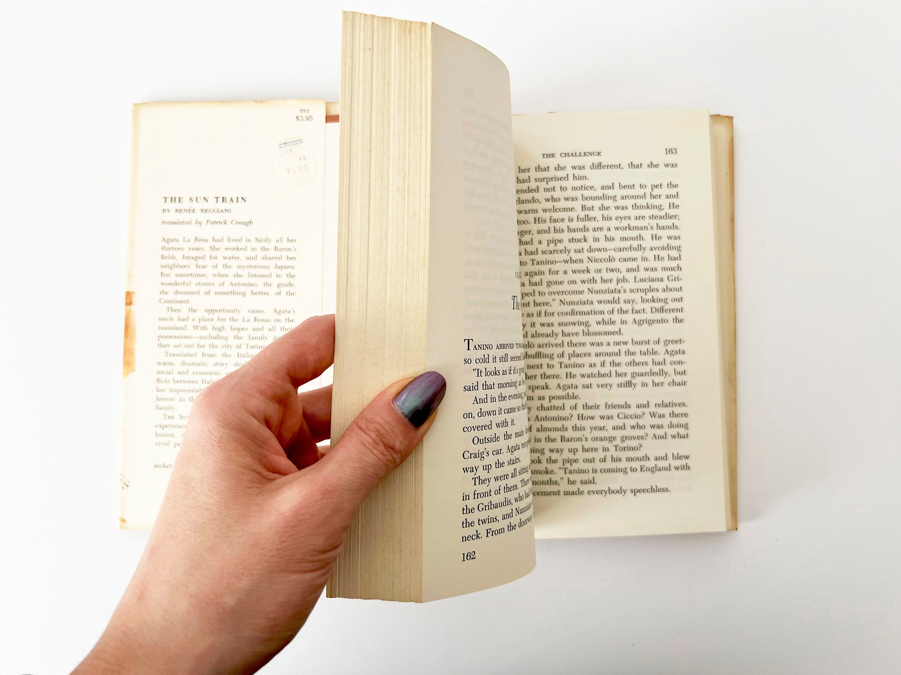 The Sun Train: 1966 Vintage Hardcover Novel, Italian Fiction