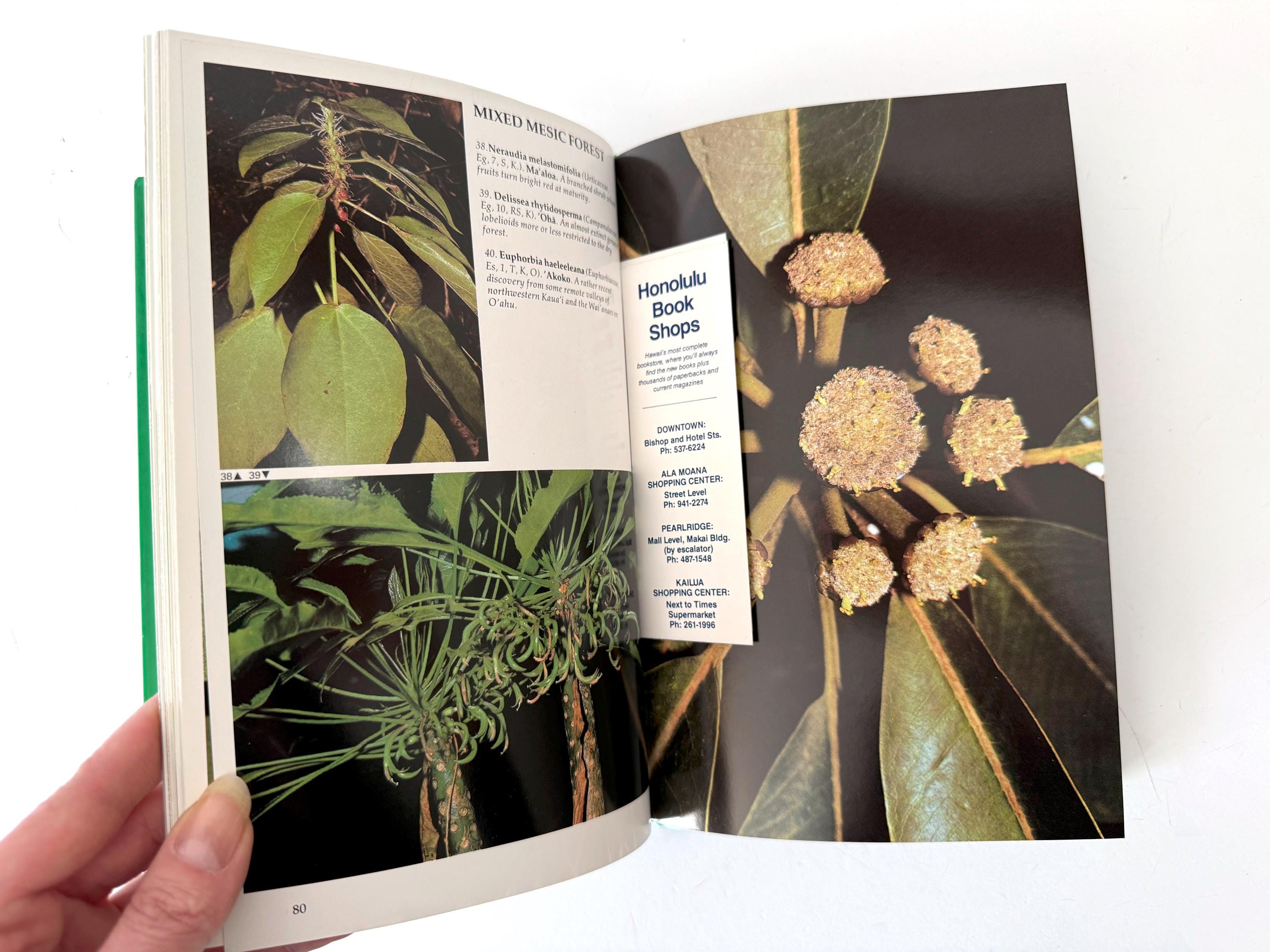 1987 Plants and Flowers of Hawai'i