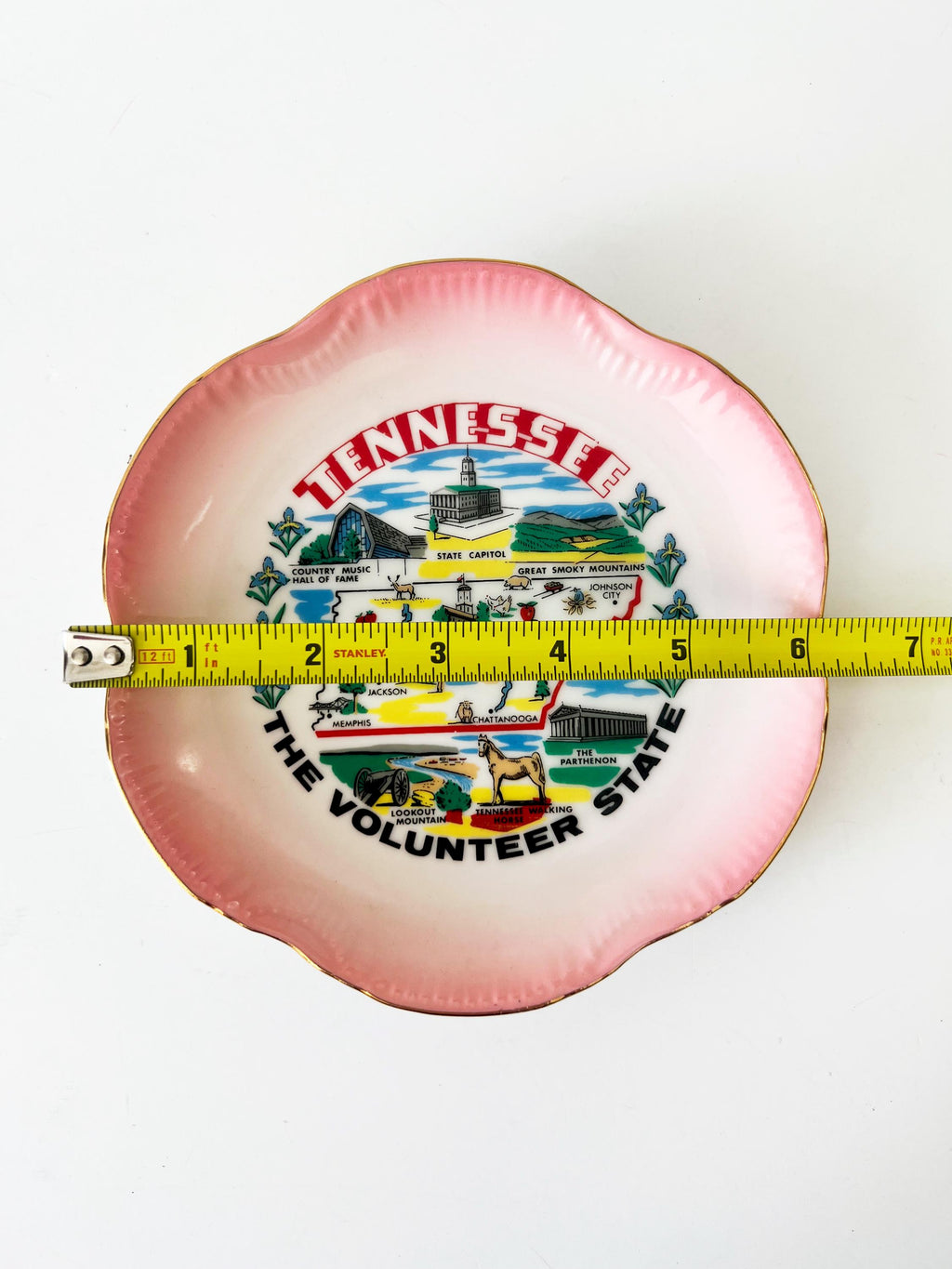 Tennessee souvenir plate