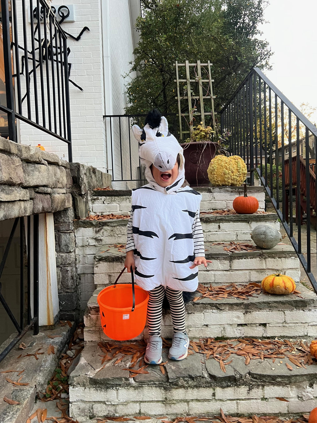 Vintage 1990s Zebra Costume Ages 6-8