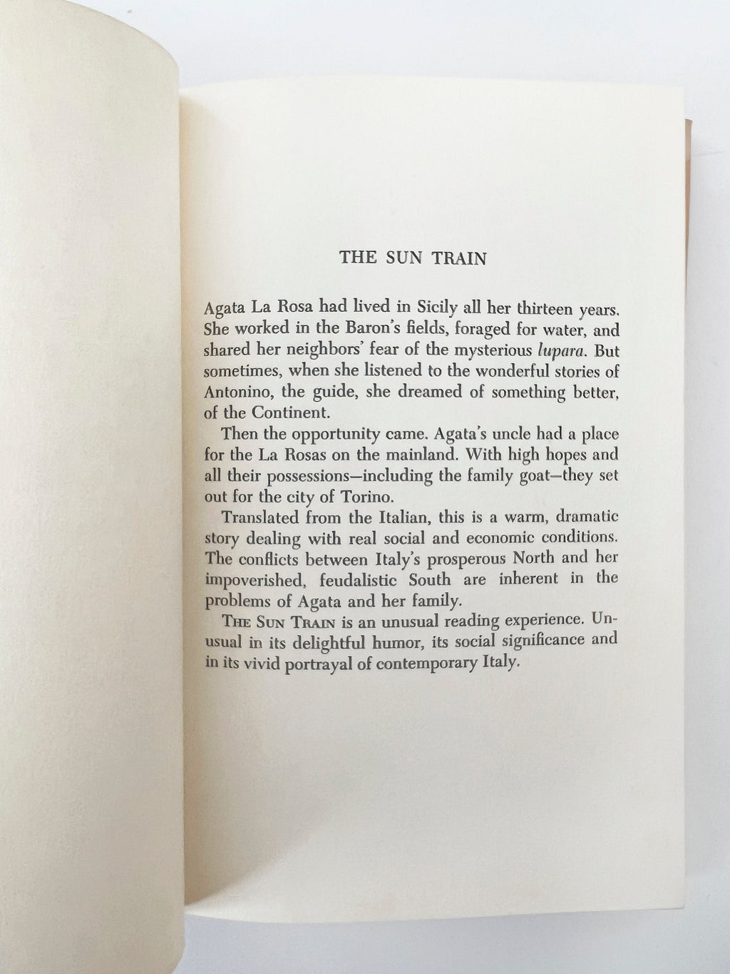 The Sun Train: 1966 Vintage Hardcover Novel, Italian Fiction