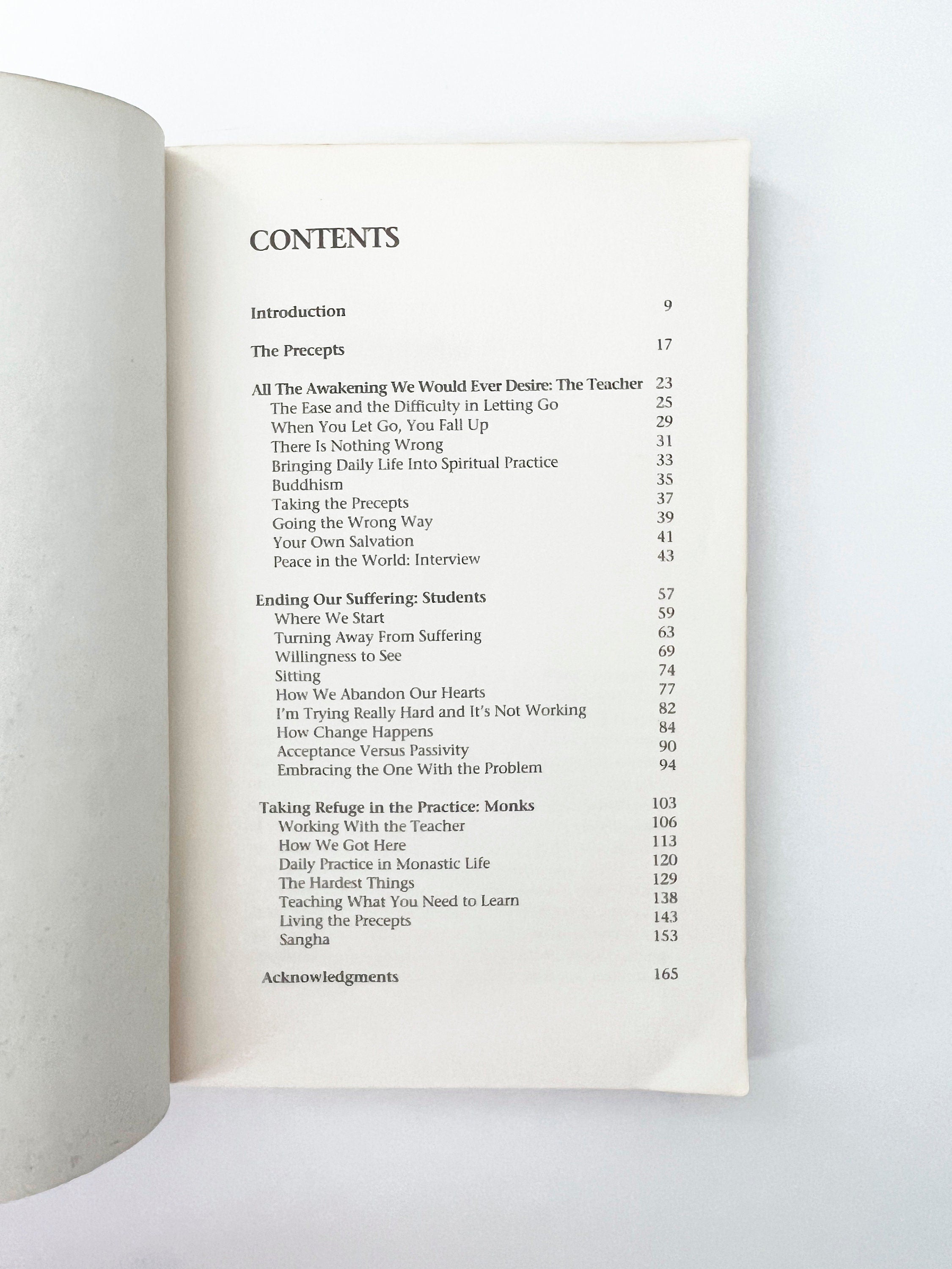 1991 Turning Towards Happiness: Conversations With a Zen Teacher and Her Students, vintage paperback book