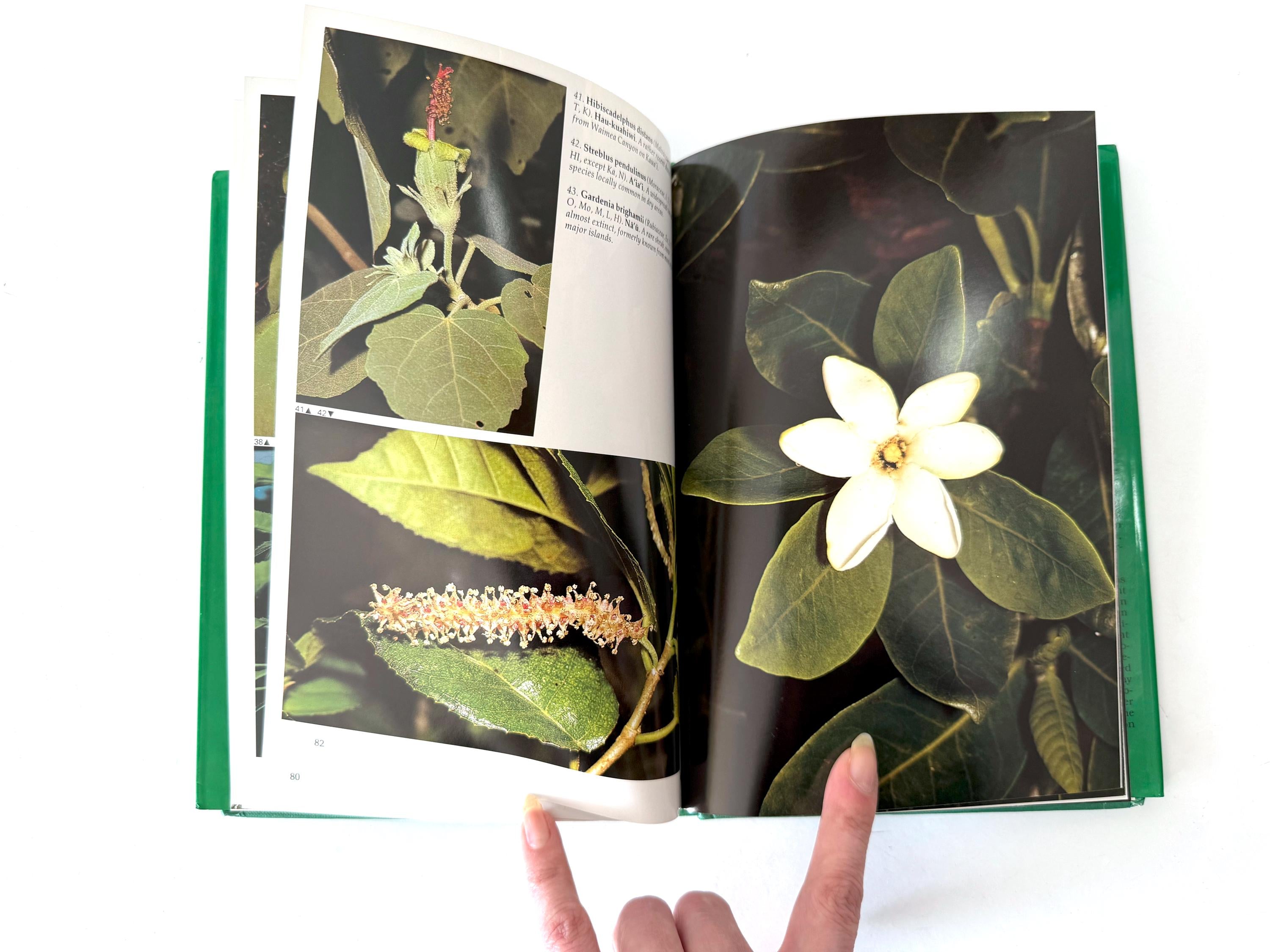 1987 Plants and Flowers of Hawai'i