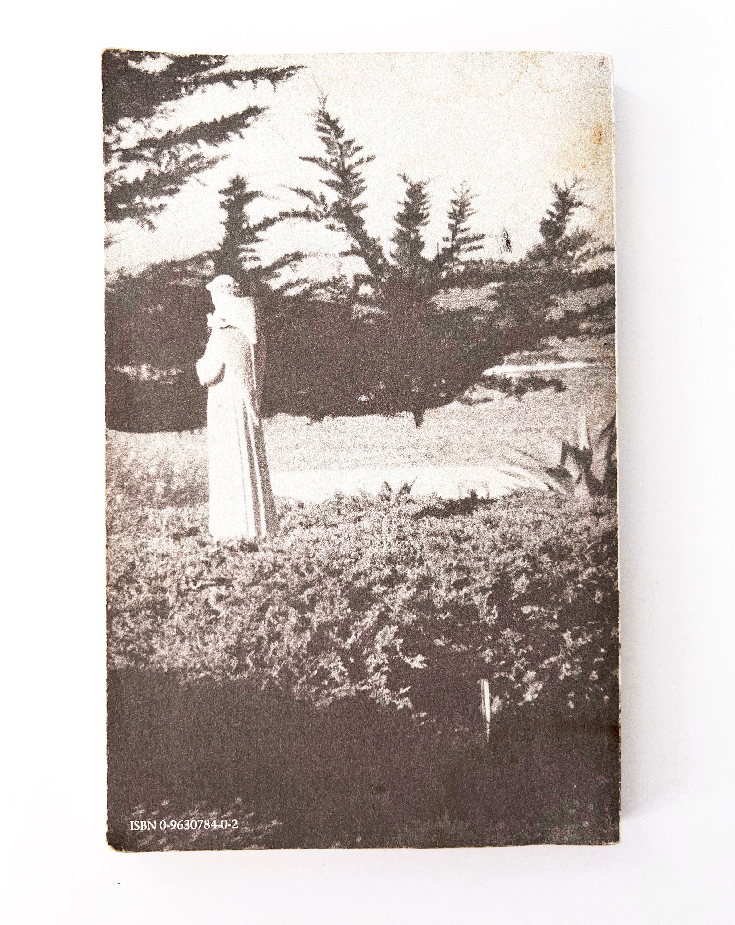 1991 Turning Towards Happiness: Conversations With a Zen Teacher and Her Students, vintage paperback book