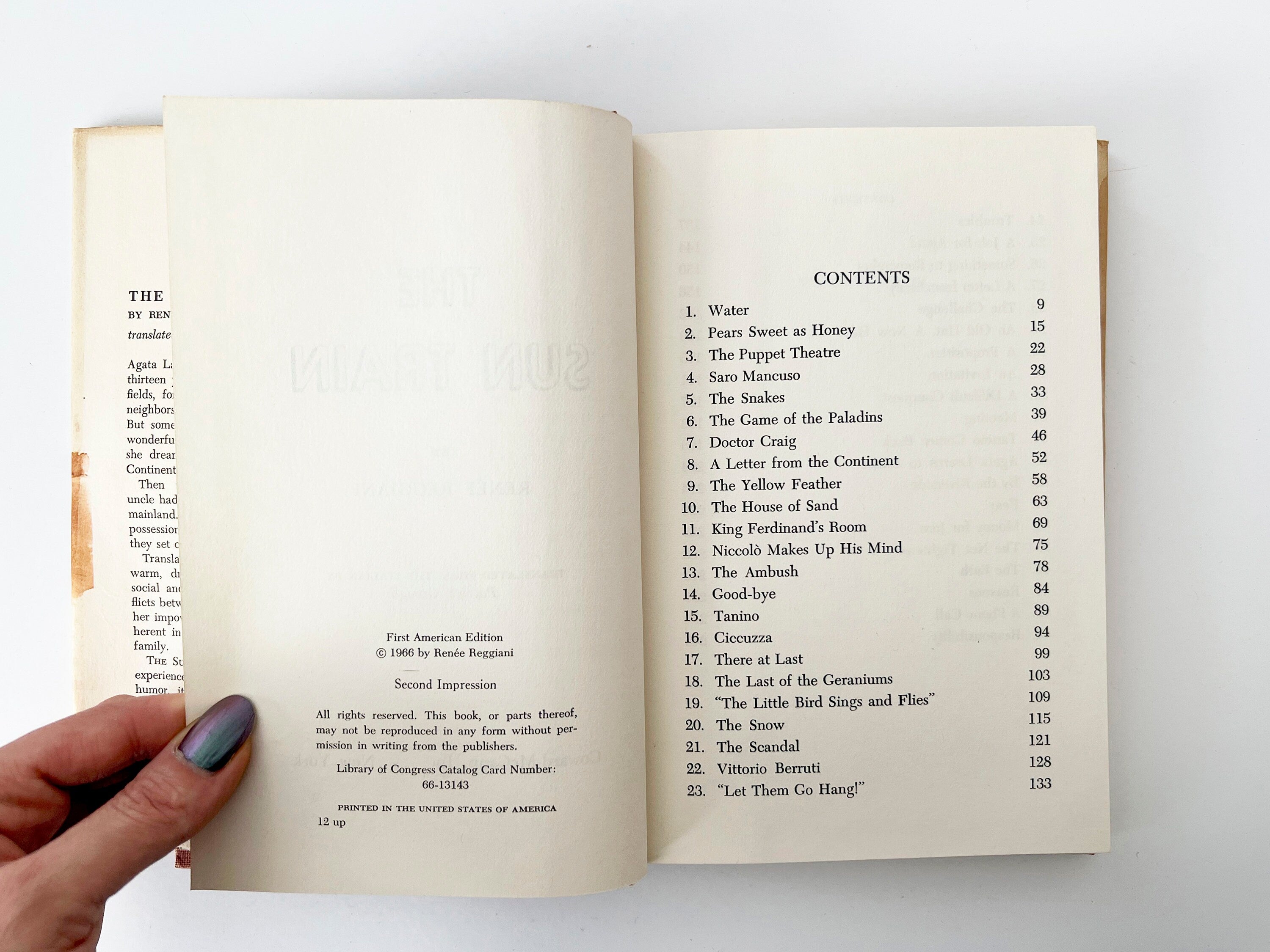 The Sun Train: 1966 Vintage Hardcover Novel, Italian Fiction