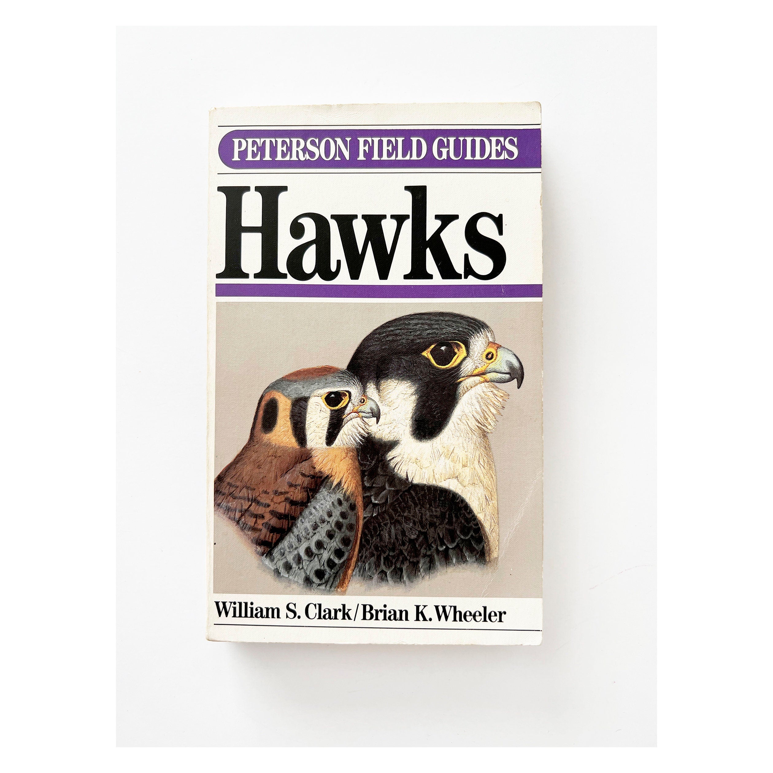 1987 Peterson's Field Guide Hawks, vintage field guide book